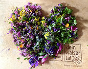 Genusswandern und Kochen auf der Alpe mit Herbert "Herby" Edlinger im Kleinwalsertal  (&copy;Foto: Anke Sieker)